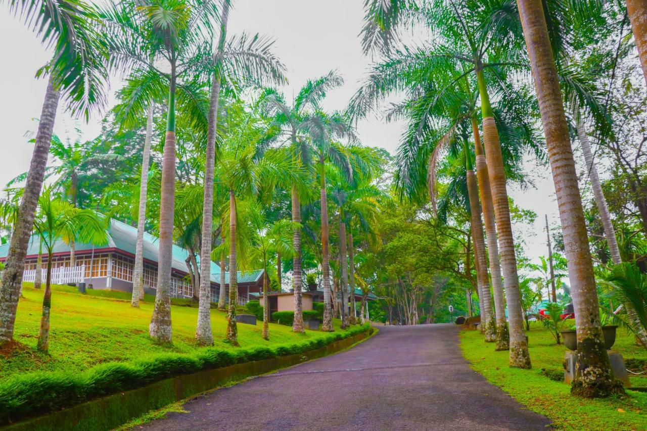 Rajanawa Resort Ratnapura Eksteriør billede
